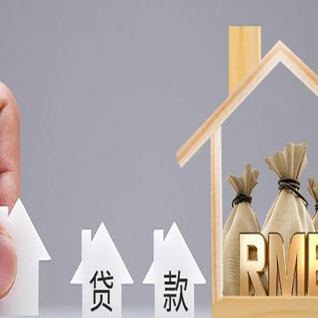 浦东贷款中介公司新渝启服怎么样